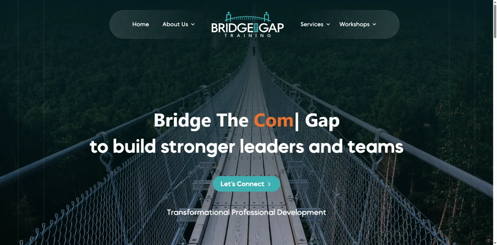 Bridge The Gap Training Website